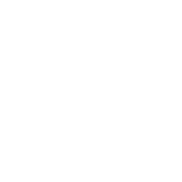 security lock