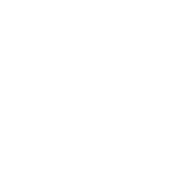 security lock